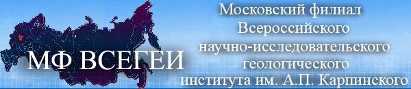 mfv_logo
